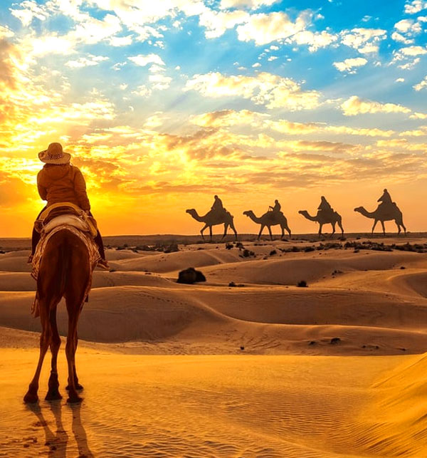 Luxury Force Urbania Hire in Jaisalmer